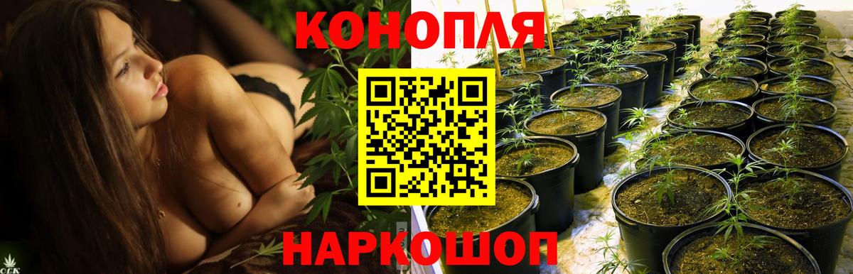 Бошки марихуана VHQ Зеленодольск